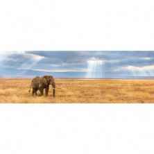 imagen 1 de puzzle clementoni panorama elefante 1000 piezas