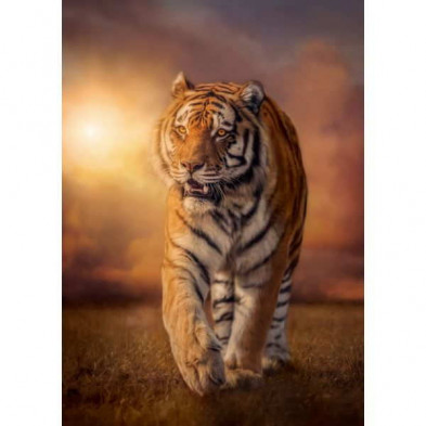imagen 1 de puzzle clementoni hqc tigre al atardecer 1500 piez