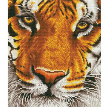 CUADRO BENGAL MAGIC - PINTURA CON DIAMANTES - DIAMOND DOTZ®