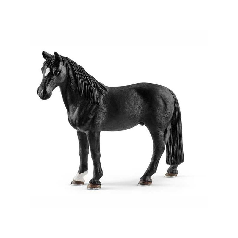 Imagen caballo capon tennessee walker 12