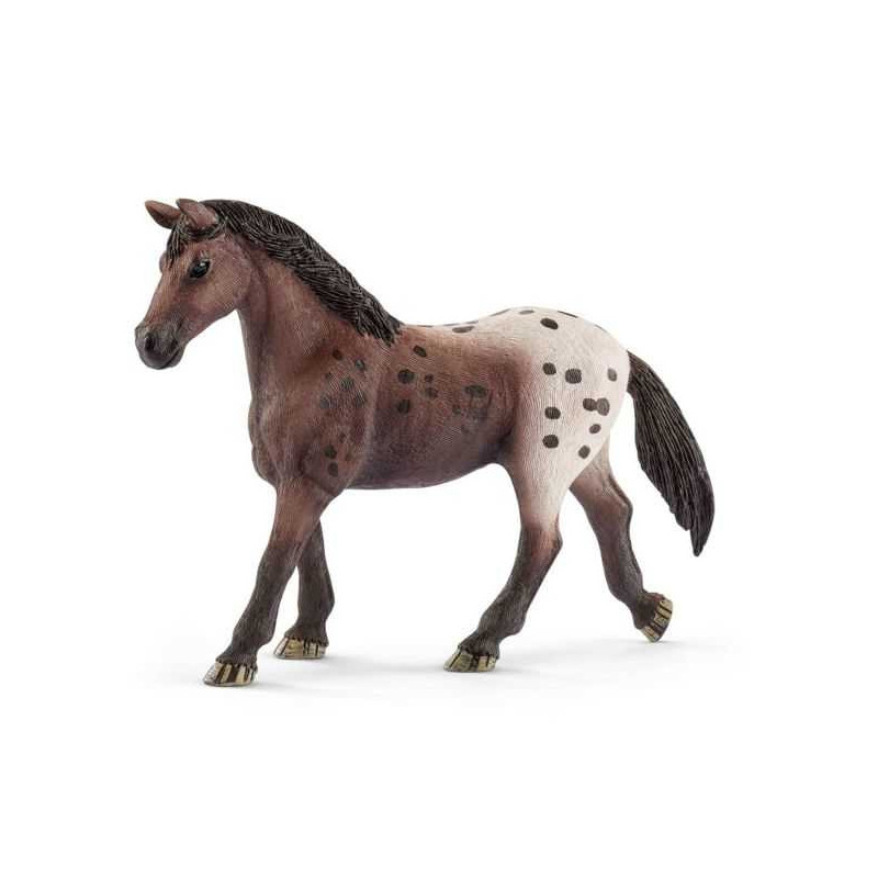 Imagen yegua appaloosa