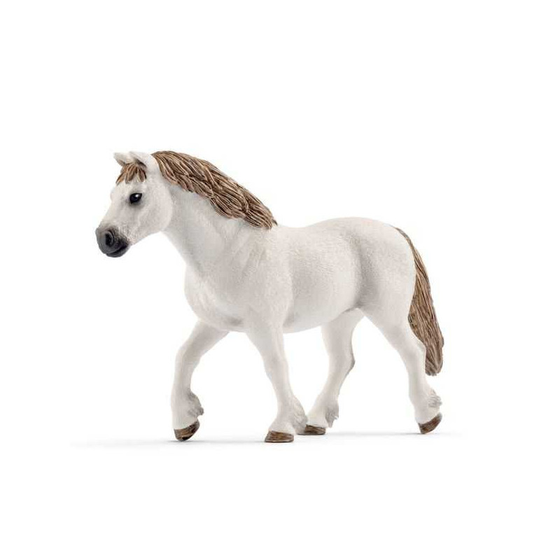 Imagen yegua poni galesa