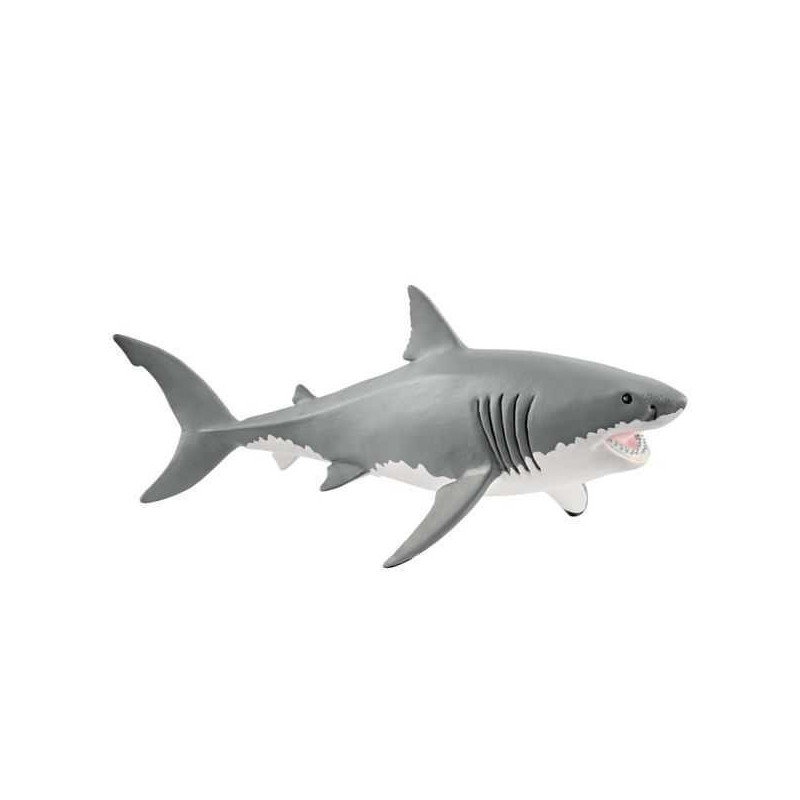 Imagen tiburón blanco