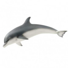 DELFIN