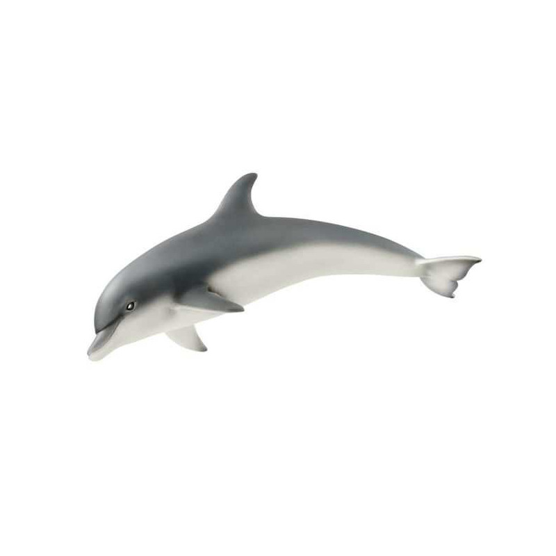 Imagen delfin