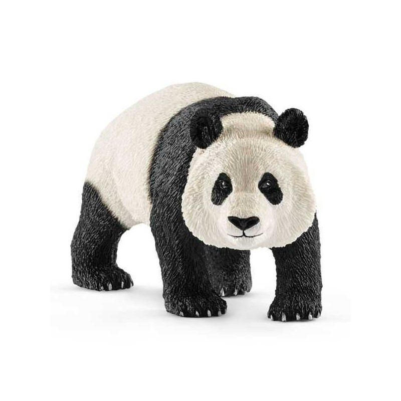 Imagen oso panda gigante macho