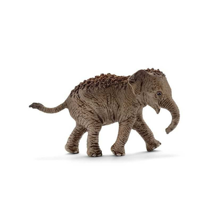Imagen cría de elefante asiático