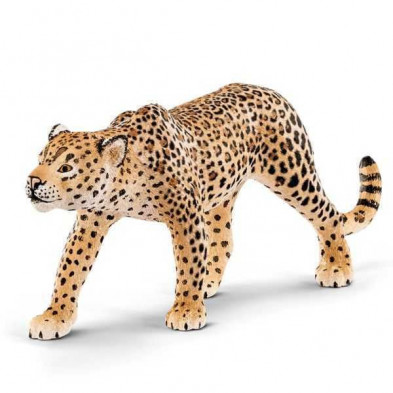 Imagen leopardo