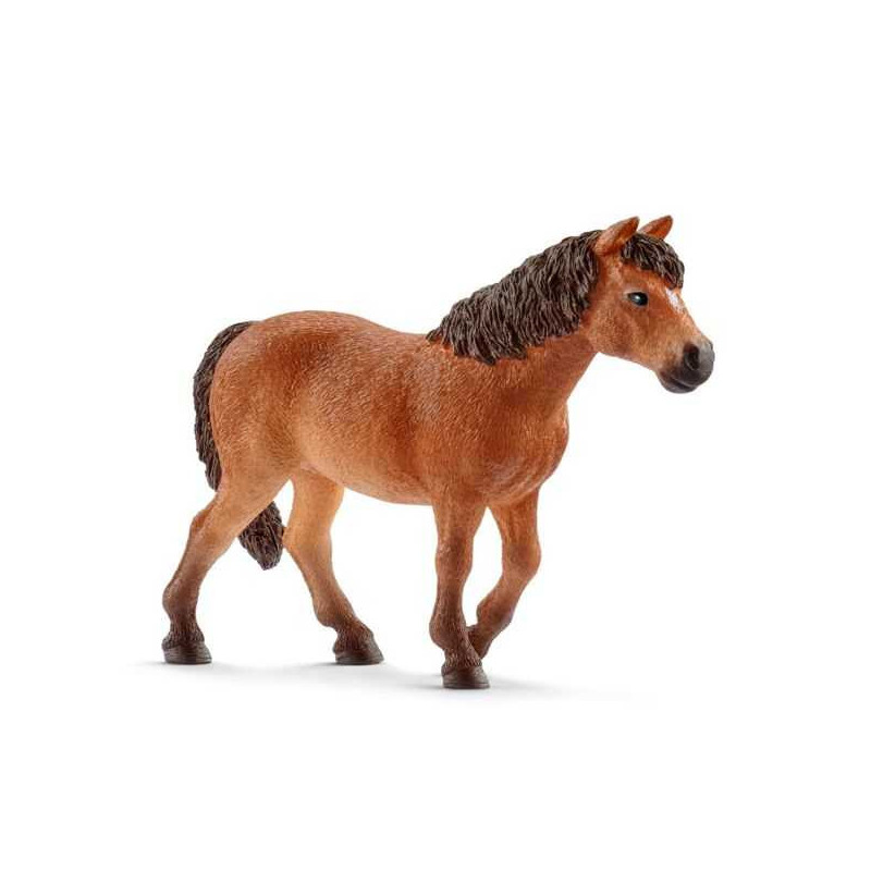 Imagen yegua poni dartmoor