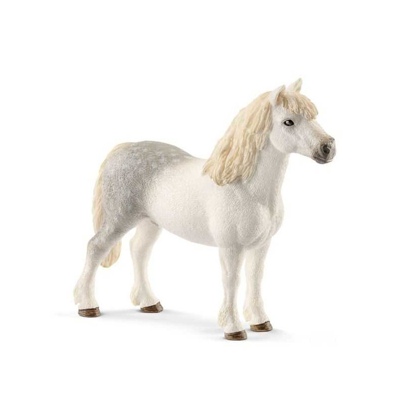 Imagen semental poni