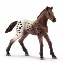 Imagen potro appaloosa