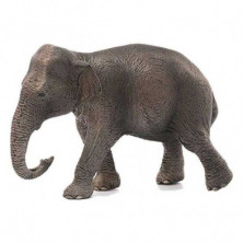 Imagen elefante hembra asiatico