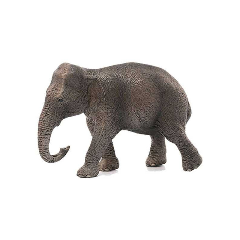 Imagen elefante hembra asiatico