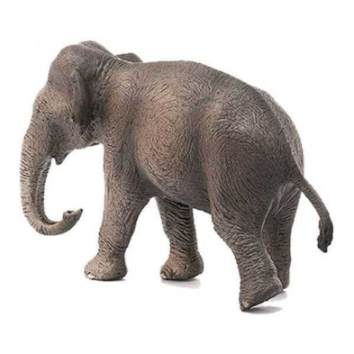 imagen 1 de elefante hembra asiatico