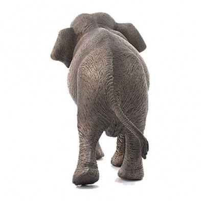 imagen 2 de elefante hembra asiatico