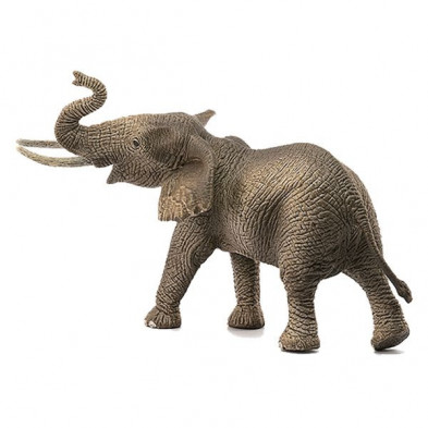 imagen 1 de elefante macho africano