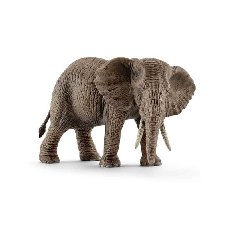 Imagen elefante africano hembra