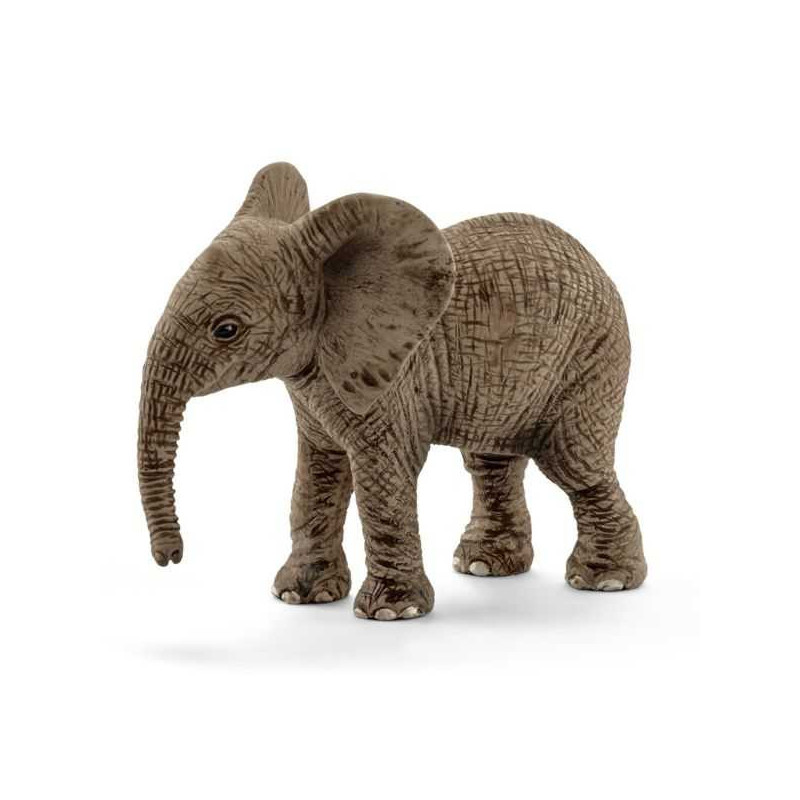Imagen cria elefante africano