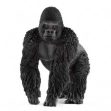 Imagen gorila macho