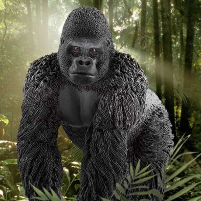 imagen 1 de gorila macho