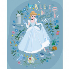 CUADRO DE LONA DISNEY CENICIENTA 20X25CM