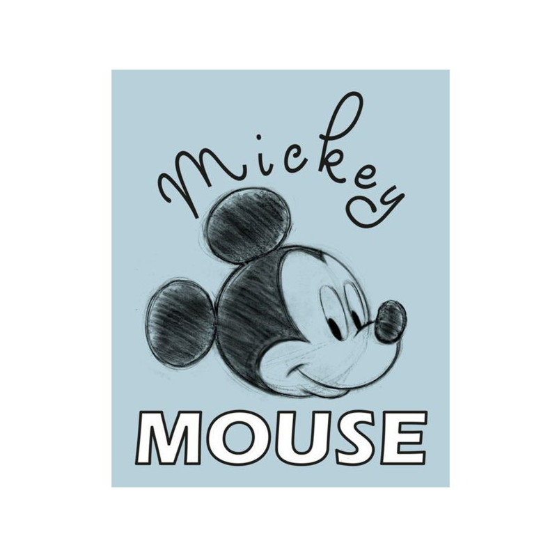 Imagen cuadro de lona disney mickey mouse 20x25cm