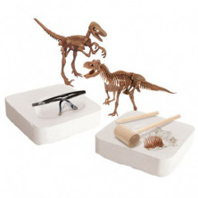 Imagen kit de excavación con 2 dinosaurios: t-rex y veloc