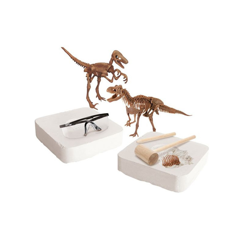 Imagen kit de excavación con 2 dinosaurios: t-rex y veloc