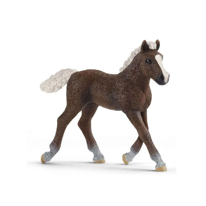 Imagen potro de la selva negra schleich