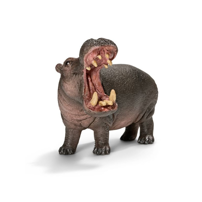 Imagen hipopotamo 10