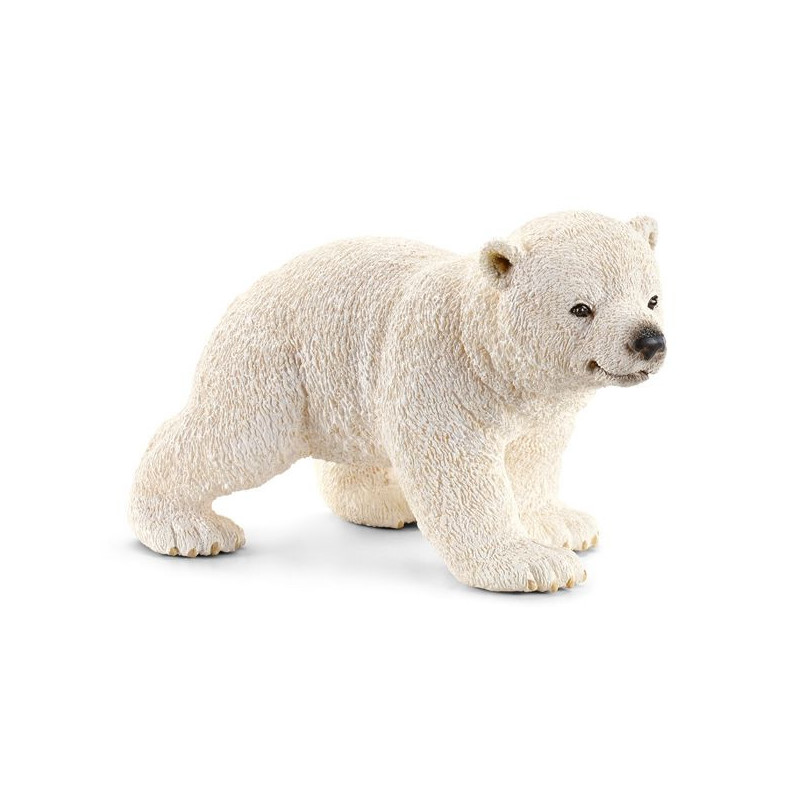 Imagen cria de oso polar caminando 6