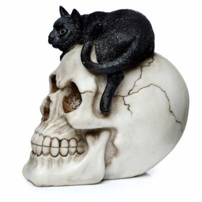 imagen 2 de figura calavera con gato negro