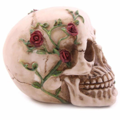 imagen 3 de figura calavera y rosas