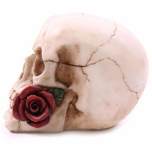 imagen 3 de figura calavera y rosas