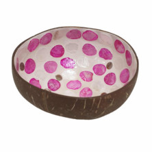 Imagen cuenco de cáscara de coco craqueado rosa gris