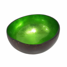 Imagen cuenco de cáscara de coco verde metalizado