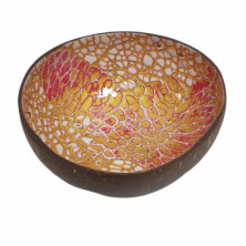 Imagen cuenco de cáscara de coco multicolor