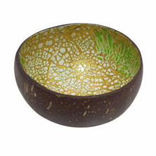 Imagen cuenco de cáscara de coco verde amarillo