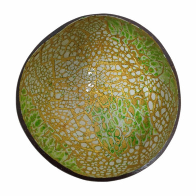 imagen 1 de cuenco de cáscara de coco verde amarillo