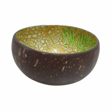 imagen 2 de cuenco de cáscara de coco verde amarillo