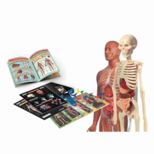 imagen 1 de juego infantil laboratorio de anatomía ciencia y j