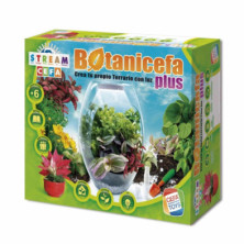 Imagen juego botanicefa plus
