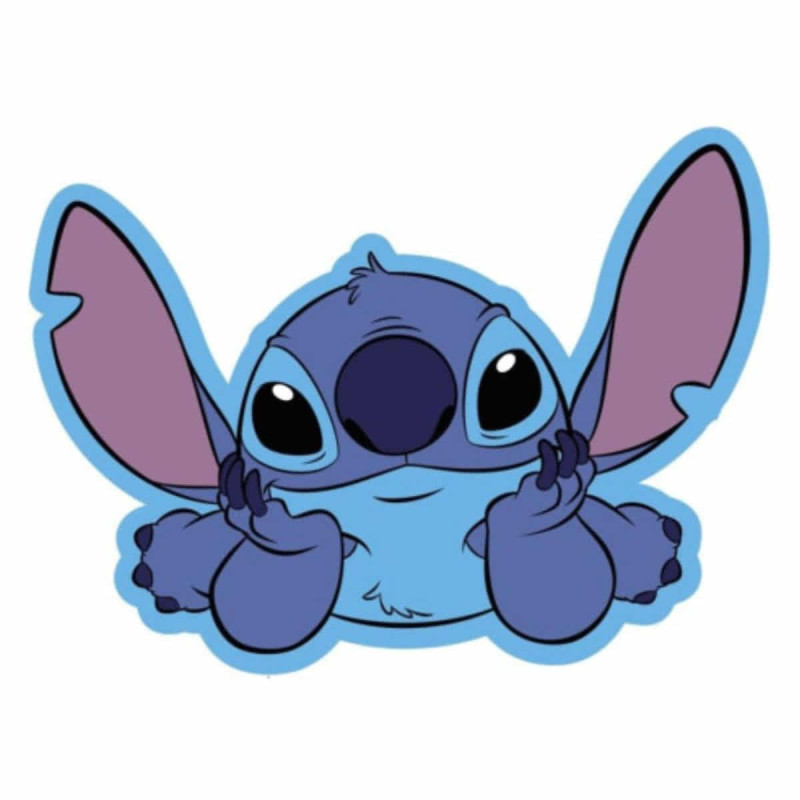 Cojin Stitch