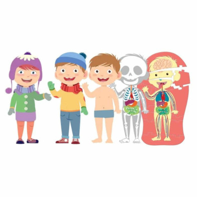 imagen 1 de juego educativo el cuerpo humano clementoni