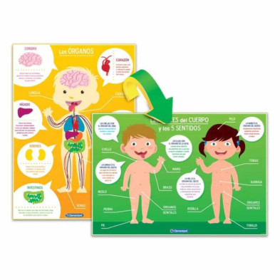 imagen 3 de juego educativo el cuerpo humano clementoni
