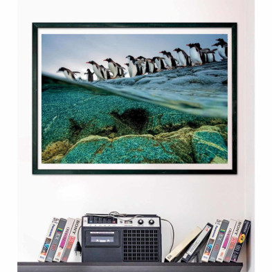 imagen 2 de puzzle pingüinos national geographic 1000 piezas c