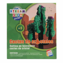 EXPERIMENTOS CIENCIA DE BOLSILLO CACTUS DE CRISTAL