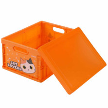 Imagen caja plegable gato naranja