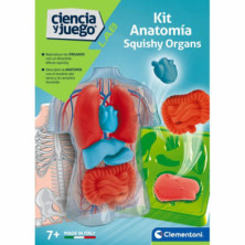 Imagen kit anatomía squishy organs ciencia y juego clemen