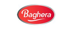 logo baghera